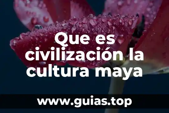 Que es el juego dela pelota maya 7 Que es civilización la cultura maya