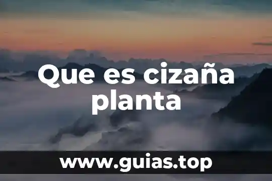 Que es una planta elodea 7 Que es cizaña planta