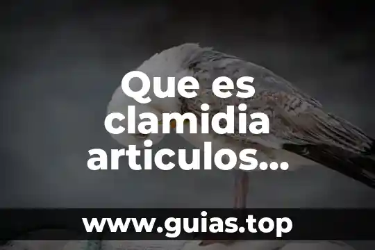 Que es clarificacion articulos 5 Que es clamidia articulos redalyc