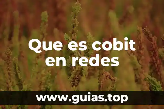 Que es bbs redes inalambricas 3 Que es cobit en redes