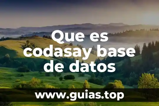 Que es depurar base de datos 6 Que es codasay base de datos