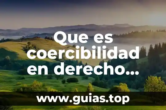 Concepto doctrinal de riesgo en derecho mercantil que es 7 Que es coercibilidad en derecho ejemplos