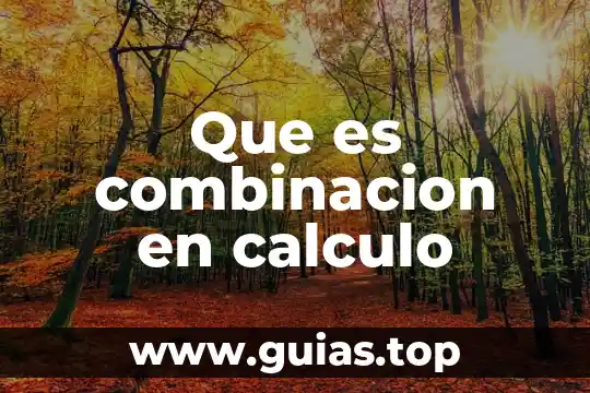 Que es grado de riesgo calculo 6 Que es combinacion en calculo