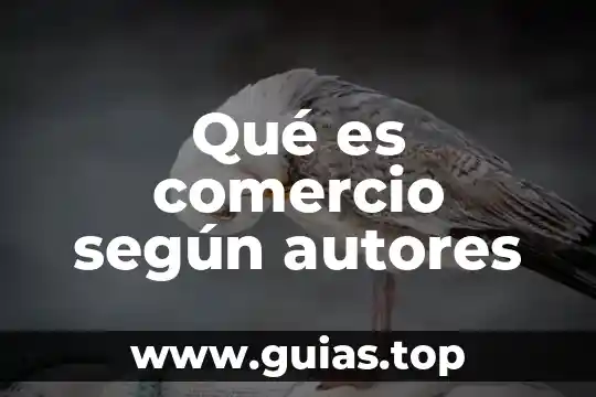 Que es el embarazo segun autores 3 Qué es comercio según autores