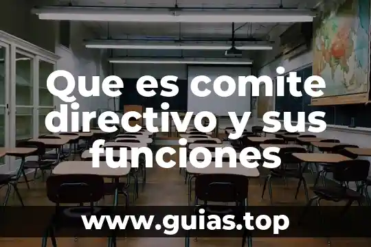 Que es la cnsf y sus funciones 3 Que es comite directivo y sus funciones
