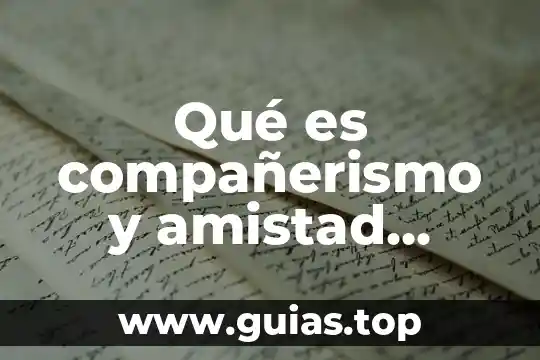 Que es tabu ejemplos 5 Qué es compañerismo y amistad ejemplos