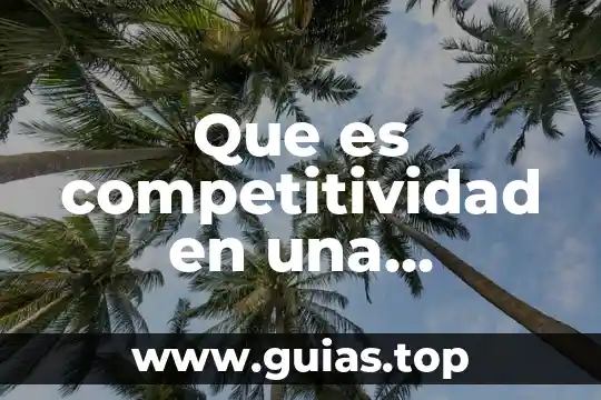 Que es la utilidad neta ejemplo 3 Que es competitividad en una empresa ejemplo