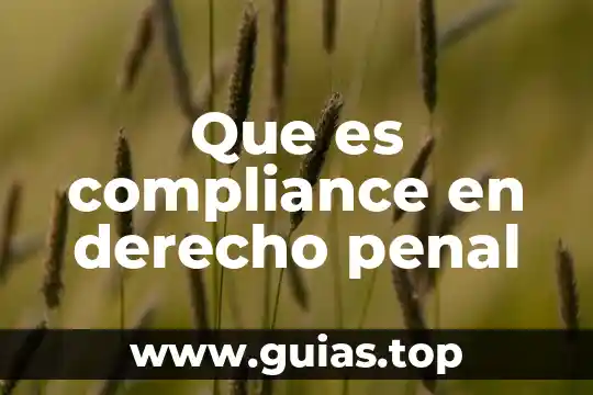 Que es compliance en derecho penal