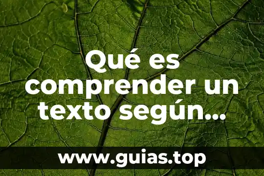Que es una evaluación autentica concepto por autores 5 Qué es comprender un texto según autores