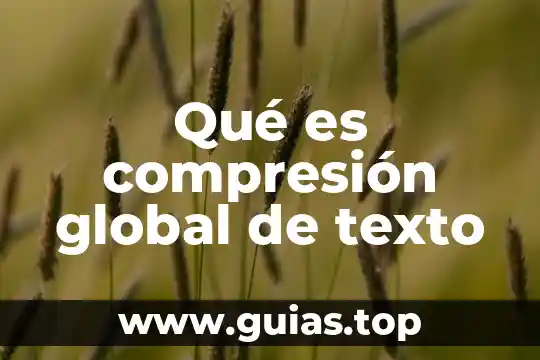 Qué es un número local o global 6 Qué es compresión global de texto