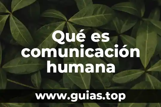 Qué es un trazo en la figura humana 3 Qué es comunicación humana