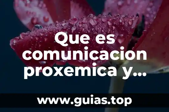 Ejemplos sencillos que es el paradigma de la complejidad 7 Que es comunicacion proxemica y ejemplos