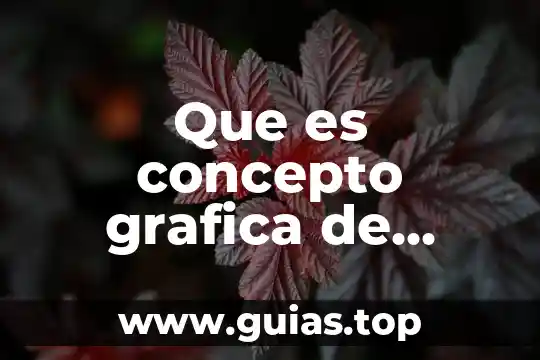 Que es una grafica t 5 Que es concepto grafica de poligono de trabajo