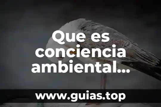 Que es signos precursores de muerte con autores 5 Que es conciencia ambiental segun autores