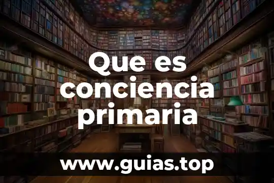 Que es friccion para primaria 5 Que es conciencia primaria