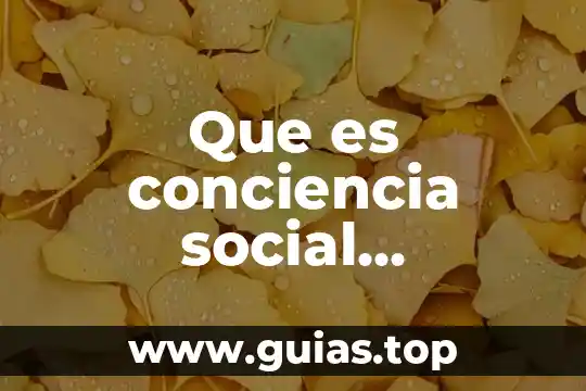 Por que es un problema social la contaminacion 7 Que es conciencia social definicion