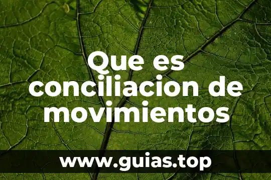 Que es un expediente electronico en movimientos 7 Que es conciliacion de movimientos