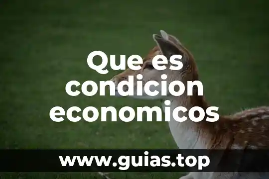 Que es ser cristiano hoy josé maría castillo 8 Que es condicion economicos