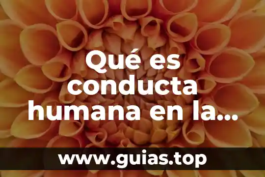 Que es la perspectiva subjetiva en filosofía 7 Qué es conducta humana en la filosofía