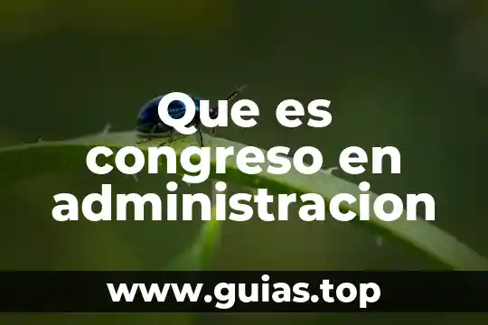 Que es ser top en lol 3 Que es congreso en administracion