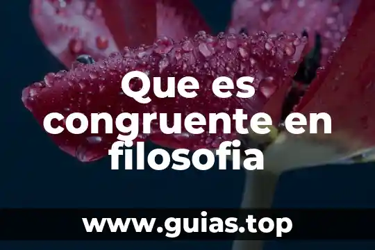 Que es naturalismo en filosofía 7 Que es congruente en filosofia