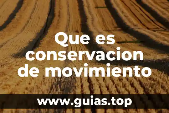 Qué es movimiento poético barroco 3 Que es conservacion de movimiento