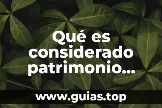 Que es patrimonio de persona moral 3 Qué es considerado patrimonio ejemplos