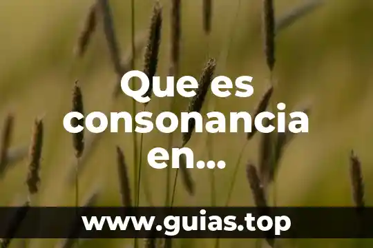 Que es una administracion hopitalaria 3 Que es consonancia en administracion