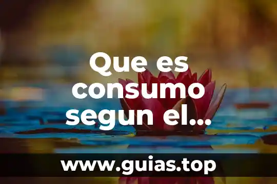 Qué es el número decimal periódico 5 Que es consumo segun el periodico