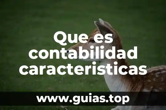 Que es una planta de ornato 7 Que es contabilidad caracteristicas