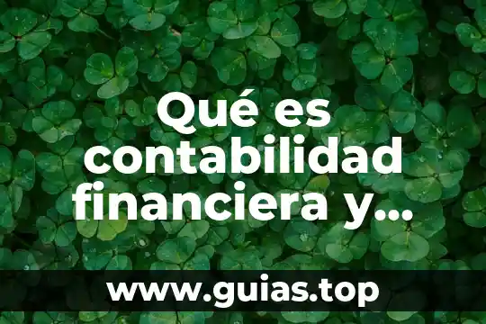 Qué es Gradle y para qué sirve 8 Qué es contabilidad financiera y para que sirve