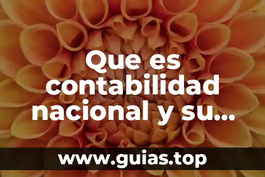 Que es una institucion de credito y su importancia 5 Que es contabilidad nacional y su importancia