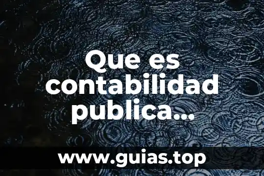 Que es el absolutismo definicion 4 Que es contabilidad publica definicion