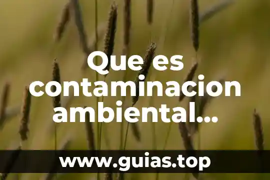 Que es la contaminacion ambiental de radioactiva 8 Que es contaminacion ambiental academy