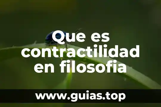 Por qué es bueno tener una filosofía empresarial 3 Que es contractilidad en filosofia