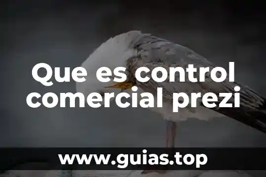 Qué es el programa de seguridad vial Prezi 7 Que es control comercial prezi