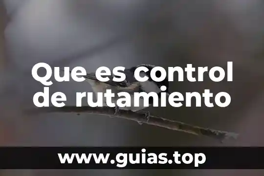 Control pediatrico recien nacido que es 8 Que es control de rutamiento