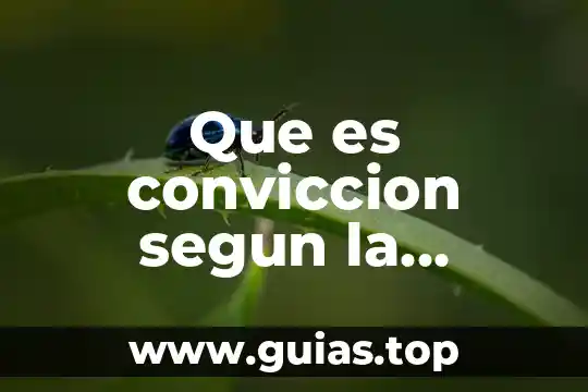 Que es conviccion segun la sociologia