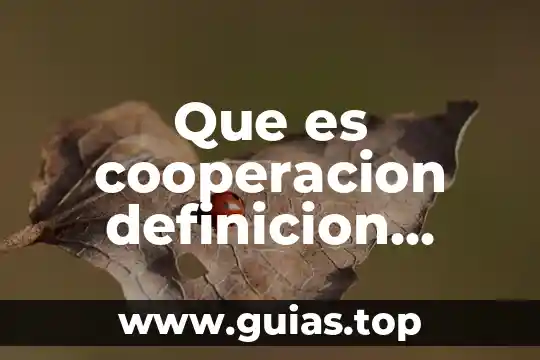 Que es cooperacion de los juegos 8 Que es cooperacion definicion larga