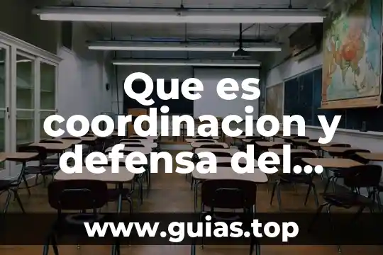 Que es el agua para el cuerpo 5 Que es coordinacion y defensa del cuerpo humano