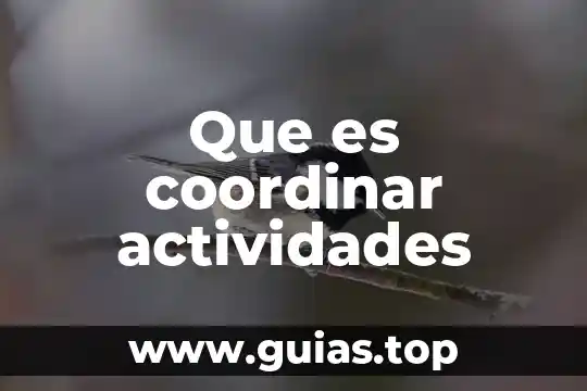 Que es una compilación de actividades 4 Que es coordinar actividades