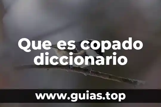 Que es populares diccionario 4 Que es copado diccionario