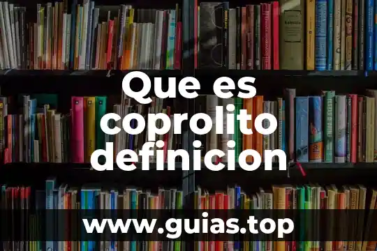 Qué es definición del problema en programación 5 Que es coprolito definicion