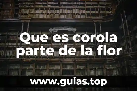 Qué es la parte del microscopio llamada pinzas 5 Que es corola parte de la flor