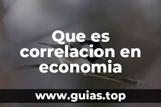 Que es una correlacion de variables 4 Que es correlacion en economia