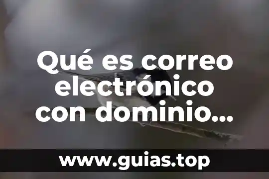 Que es mensajes destacados en el correo electronico 6 Qu茅 es correo electr贸nico con dominio propio