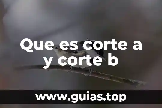 Que es un corte undercut 3 Que es corte a y corte b