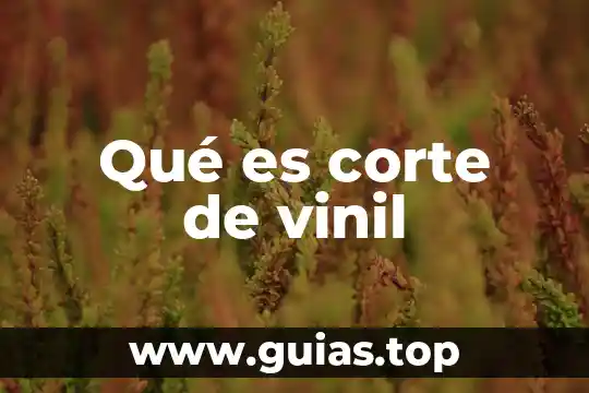 Que es de belleza corte de pelo 3 Qué es corte de vinil