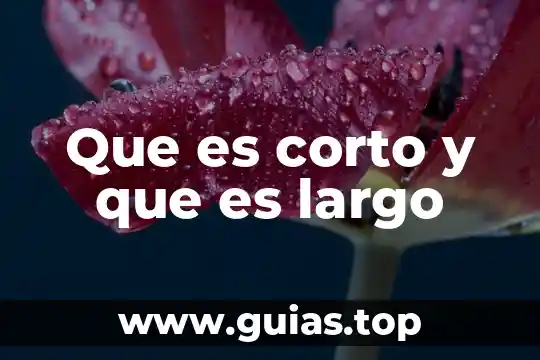 Qué es mejor para un viaje largo pasillo o ventanilla 5 Que es corto y que es largo