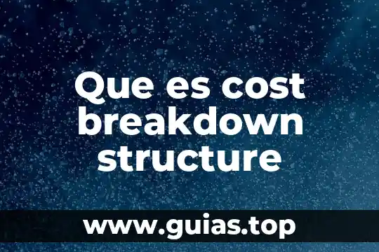 Qué es el fenómeno low cost 4 Que es cost breakdown structure